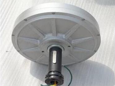 Axial flux coreless PMG